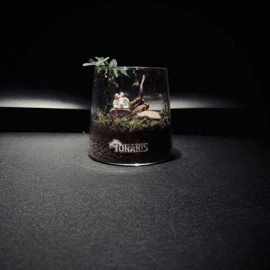 RAINFOREST MT. FUJI 雨林富士山生態瓶(680ML・小景版)