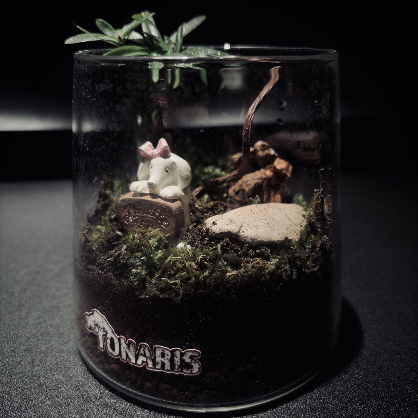 RAINFOREST MT. FUJI 雨林富士山生態瓶(680ML・小景版)