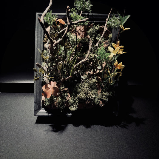 FOREST FRAME 雨林立體生態框(25 × 25 cm)
