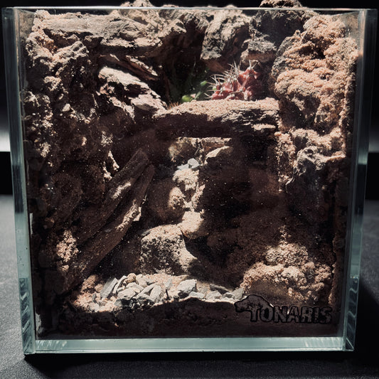 DESERT TERRARIUM TANK-SMALL 沙漠地形生態小缸(15 × 15 × 15 cm)