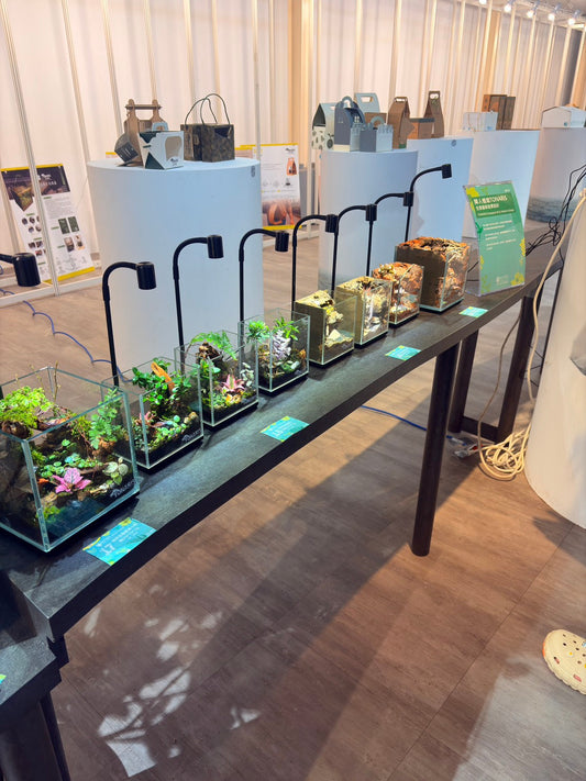 當自然，被設計成一種語言  TONARIS × 產學合作展覽紀錄｜植感桃園