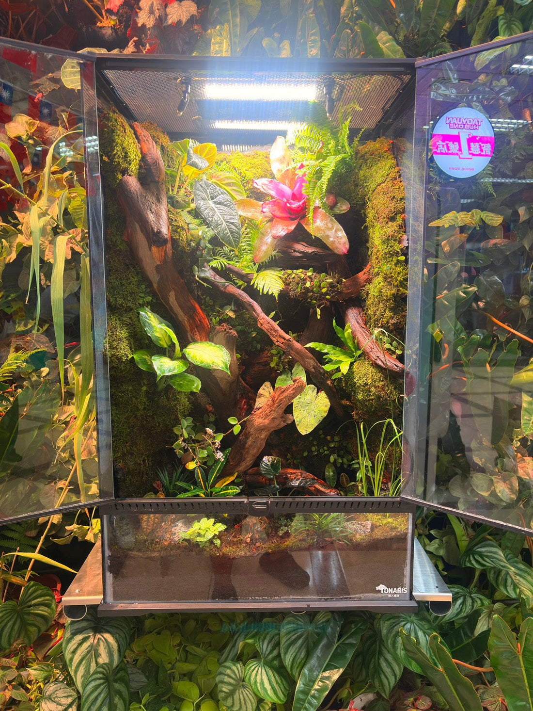在城市之中，讓一片雨林長出來  TONARIS × 植感桃園 展出紀錄
