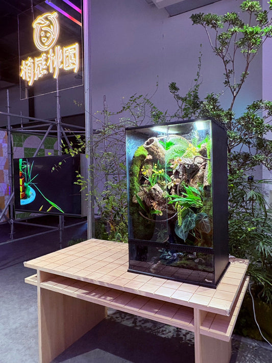 在人工之中，模擬一片自然  TONARIS × 仿生展《植感桃園》展出紀錄