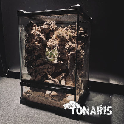 DESERT TERRARIUM ART TANK 沙漠生態缸-20*20*30