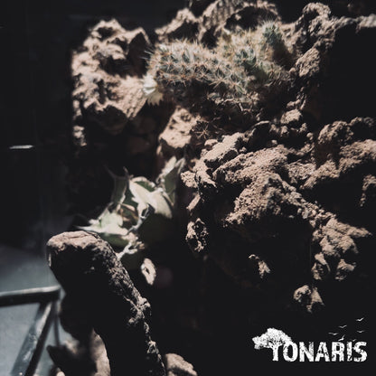 DESERT TERRARIUM ART TANK 沙漠生態缸-20*20*30