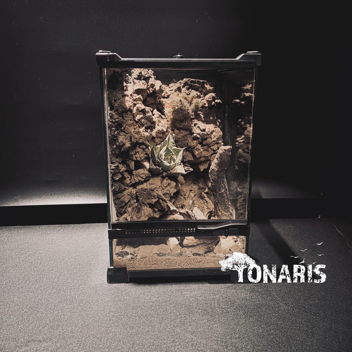 DESERT TERRARIUM ART TANK 沙漠生態缸-20*20*30