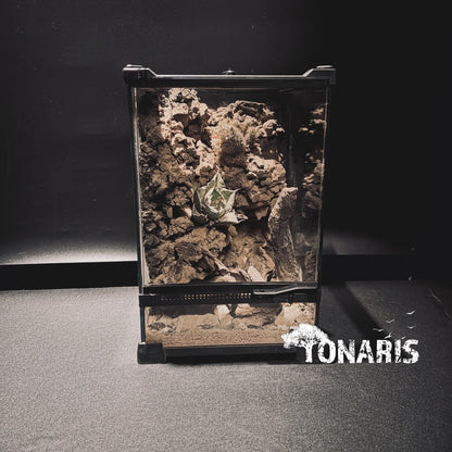 DESERT TERRARIUM ART TANK 沙漠生態缸-20*20*30