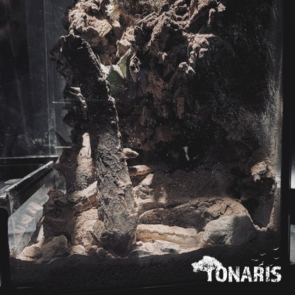 DESERT TERRARIUM ART TANK 沙漠生態缸-20*20*30