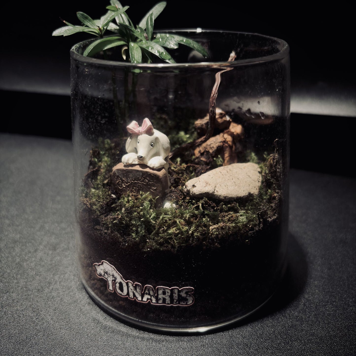 RAINFOREST MT. FUJI 雨林富士山生態瓶（680ML・小景版）