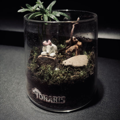 RAINFOREST MT. FUJI 雨林富士山生態瓶（680ML・小景版）