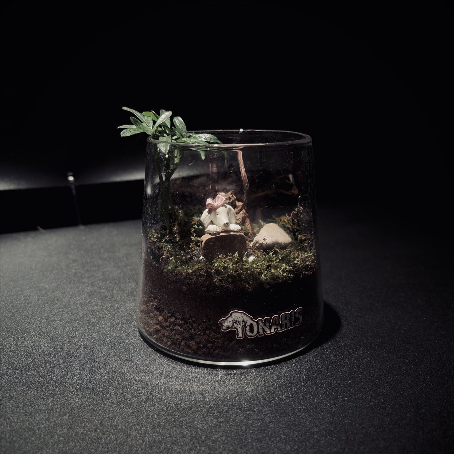 RAINFOREST MT. FUJI 雨林富士山生態瓶（680ML・小景版）