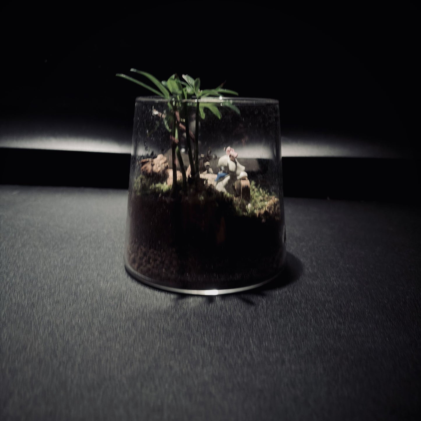 RAINFOREST MT. FUJI 雨林富士山生態瓶（680ML・小景版）