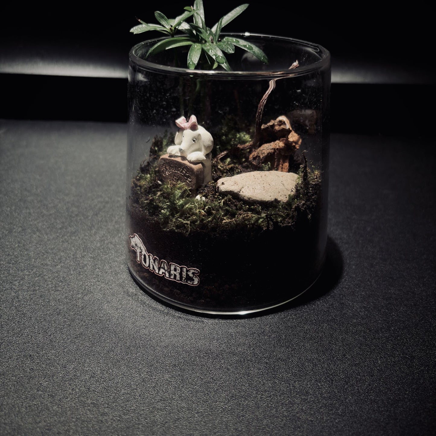 RAINFOREST MT. FUJI 雨林富士山生態瓶（680ML・小景版）