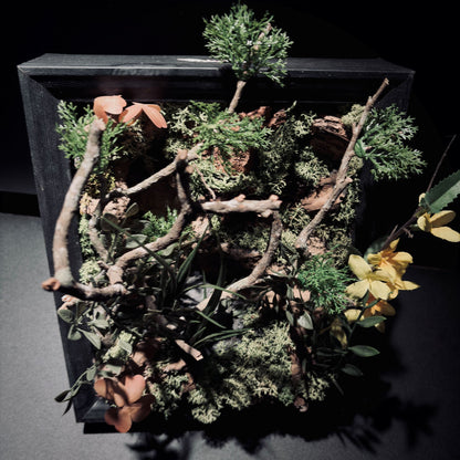 雨林立體生態框（25 × 25 cm)