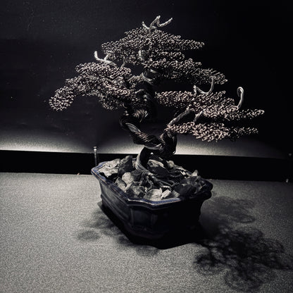 ALUMINUM SHARI CYPRESS Black & Silver 鋁．舍利真柏-黑銀