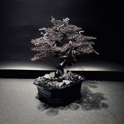 ALUMINUM SHARI CYPRESS Black & Silver 鋁．舍利真柏-黑銀