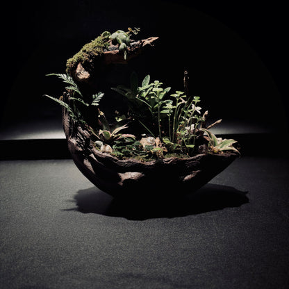 RAINFOREST TERRARIUM BOWL-Medium 生態缽(中)-雨林系列