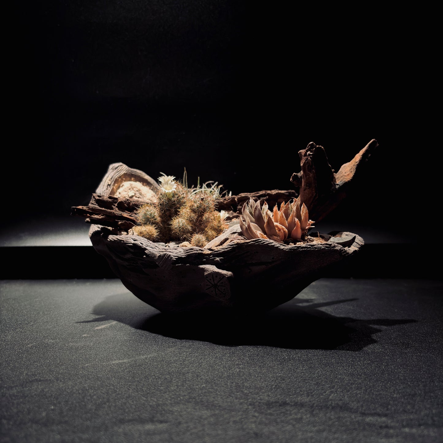 DESERT TERRARIUM BOWL-Medium 生態缽(中)-沙漠系列