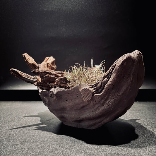 DESERT TERRARIUM BOWL-Medium 生態缽(中)-沙漠系列
