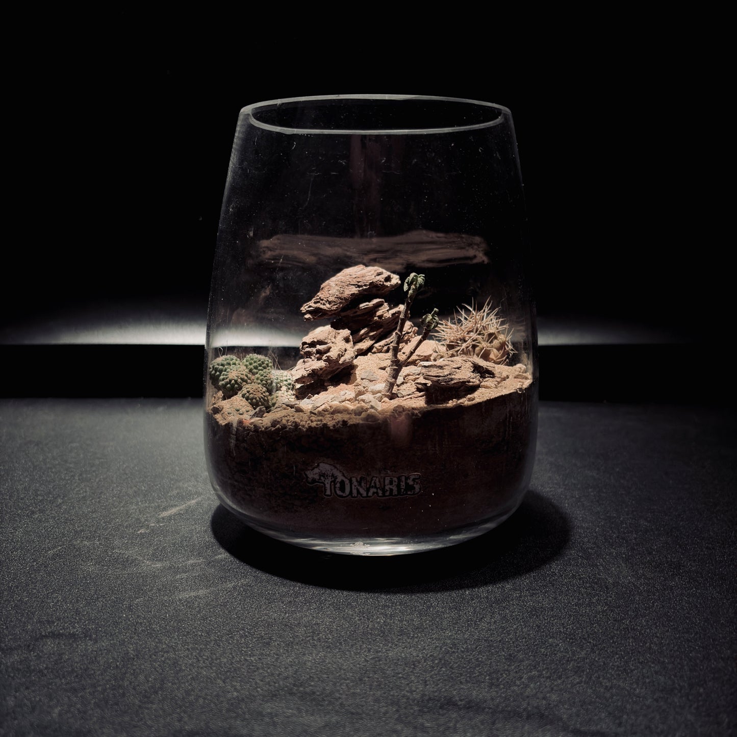 DESERT TERRARIUM JAR 沙漠生態瓶-15*18