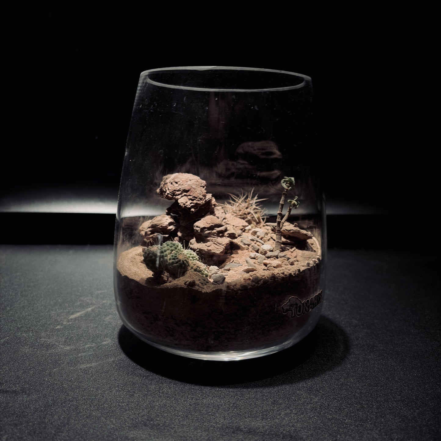 DESERT TERRARIUM JAR 沙漠生態瓶-15*18