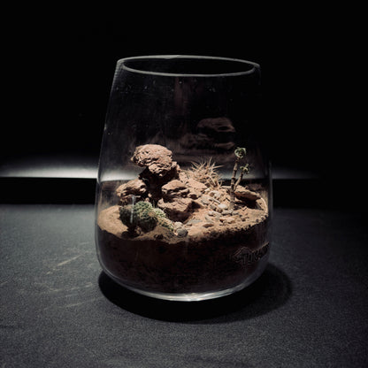 DESERT TERRARIUM JAR 沙漠生態瓶-15*18