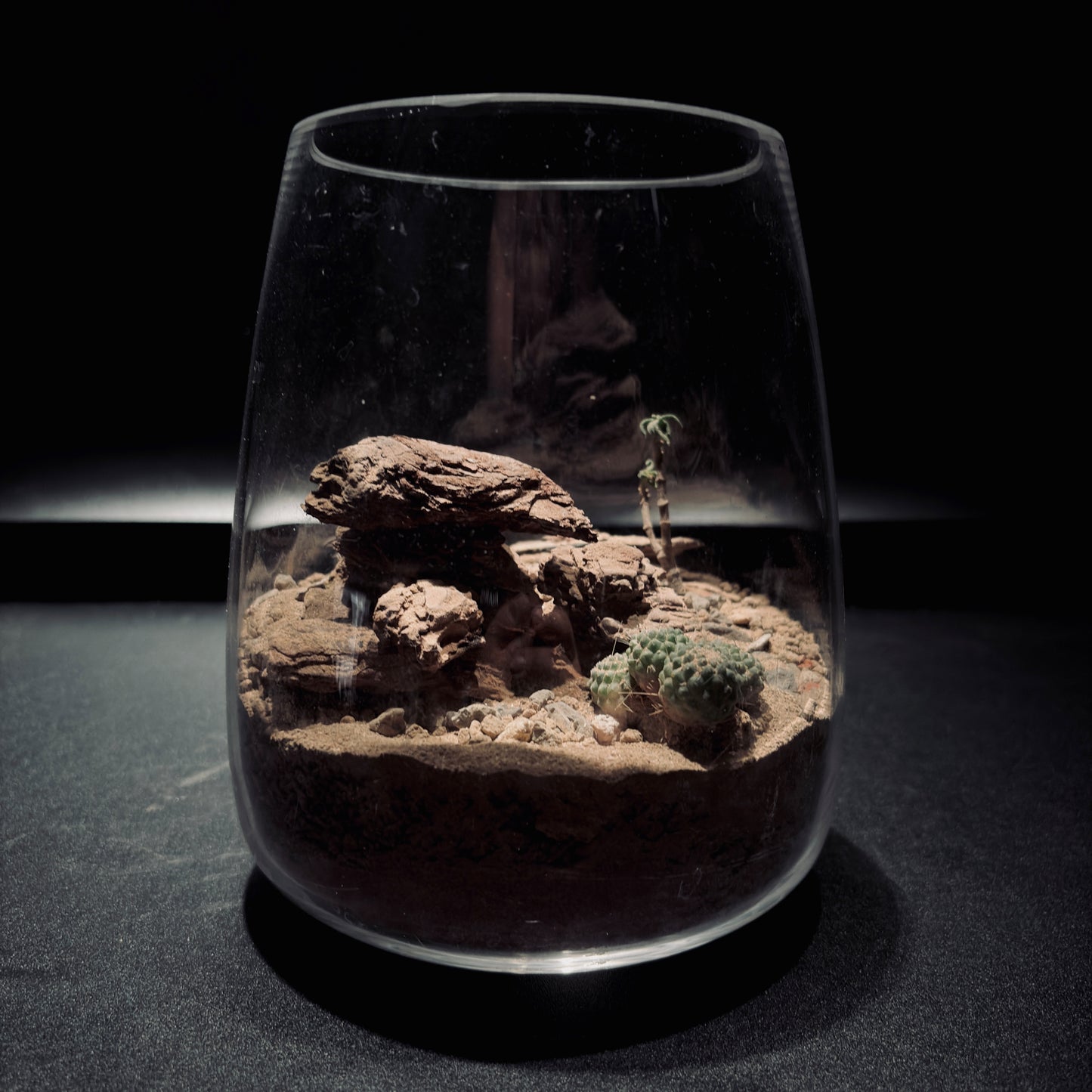 DESERT TERRARIUM JAR 沙漠生態瓶-15*18