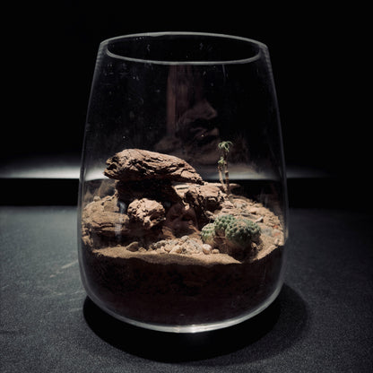 DESERT TERRARIUM JAR 沙漠生態瓶-15*18