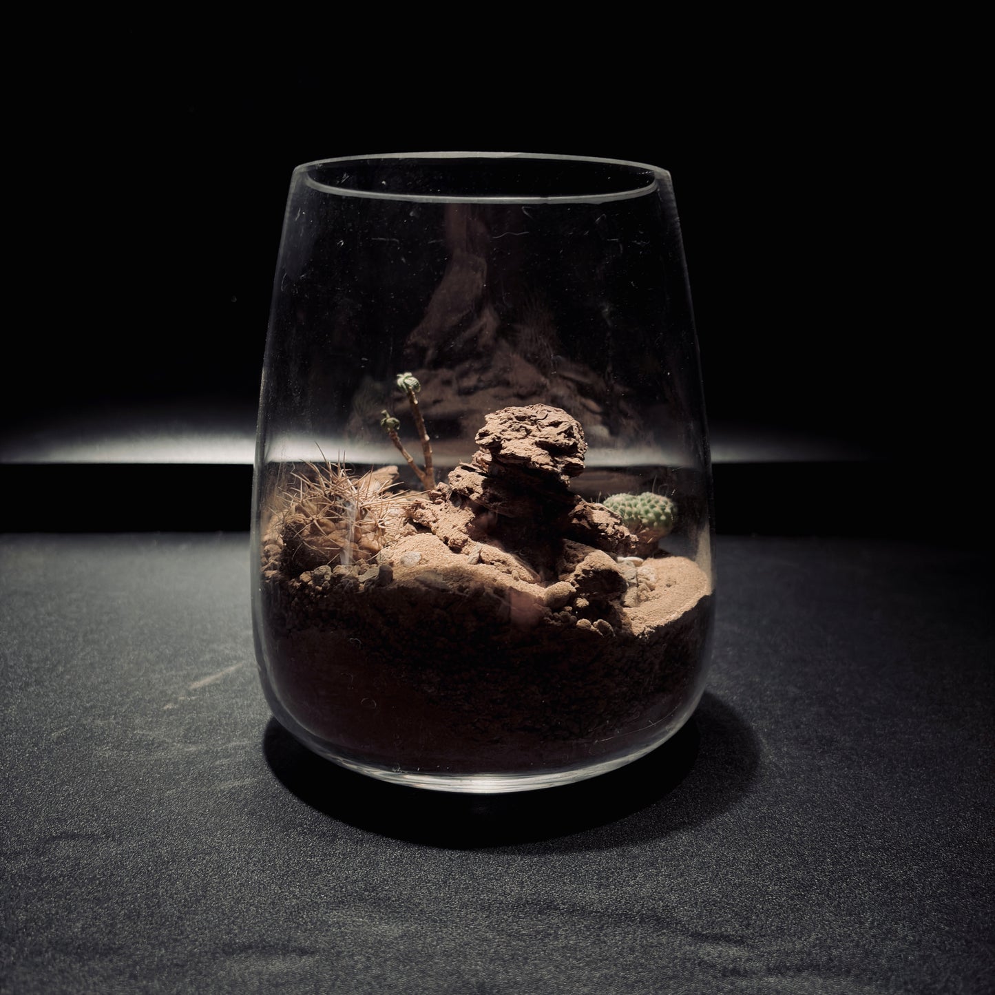 DESERT TERRARIUM JAR 沙漠生態瓶-15*18