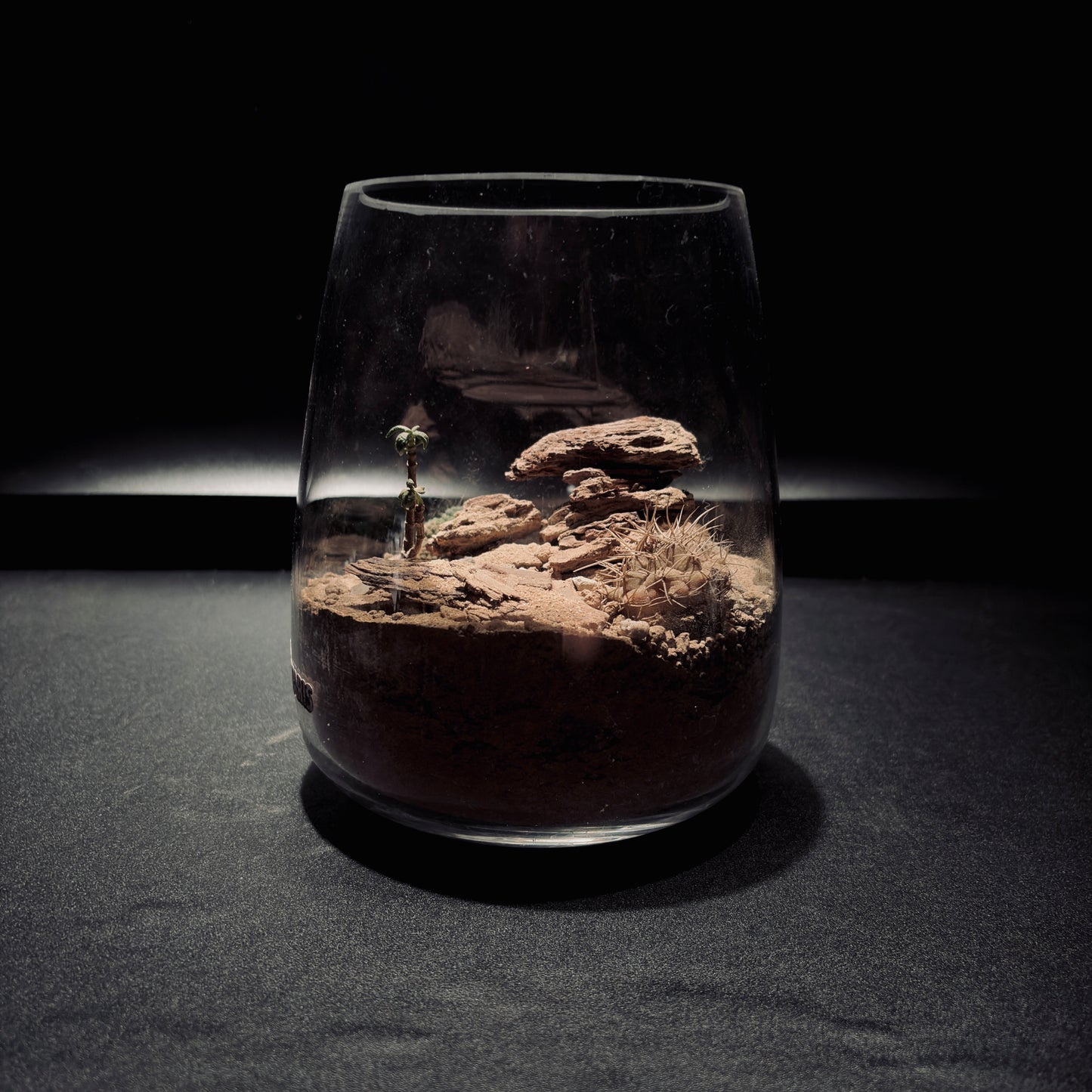 DESERT TERRARIUM JAR 沙漠生態瓶-15*18