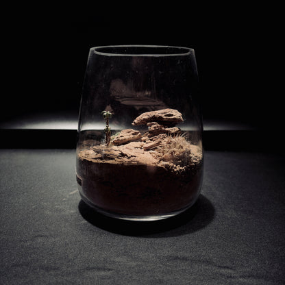 DESERT TERRARIUM JAR 沙漠生態瓶-15*18