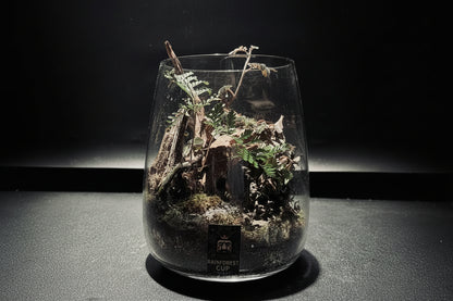 雨林生態瓶-15*18