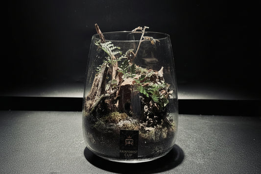 RAINFOREST TERRARIUM JAR 雨林生態瓶-15*18