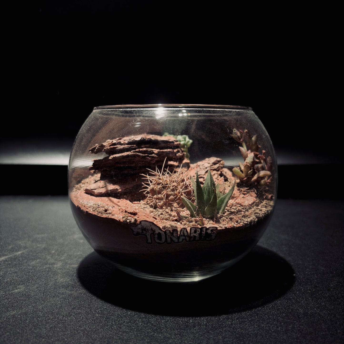 DESERT TERRARIUM JAR 沙漠生態瓶-5吋瓶