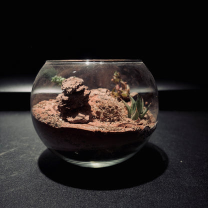 DESERT TERRARIUM JAR 沙漠生態瓶-5吋瓶