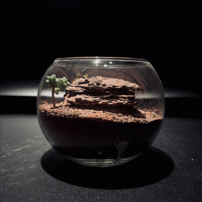 DESERT TERRARIUM JAR 沙漠生態瓶-5吋瓶
