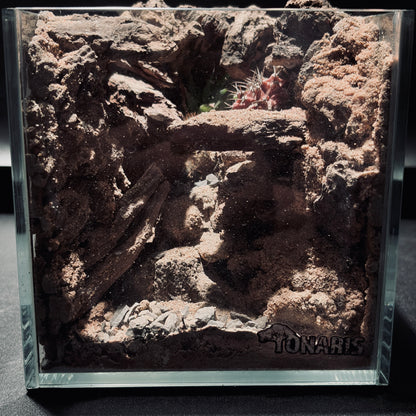DESERT TERRARIUM TANK-SMALL 沙漠地形生態小缸（15 × 15 × 15 cm）