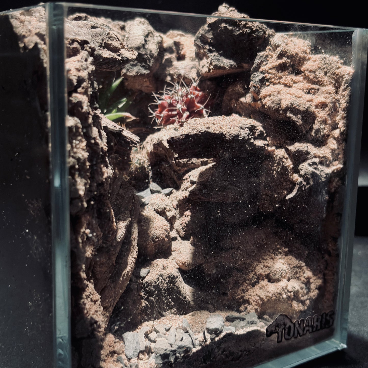DESERT TERRARIUM TANK-SMALL 沙漠地形生態小缸（15 × 15 × 15 cm）