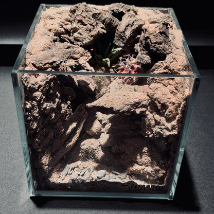 DESERT TERRARIUM TANK-SMALL 沙漠地形生態小缸（15 × 15 × 15 cm）