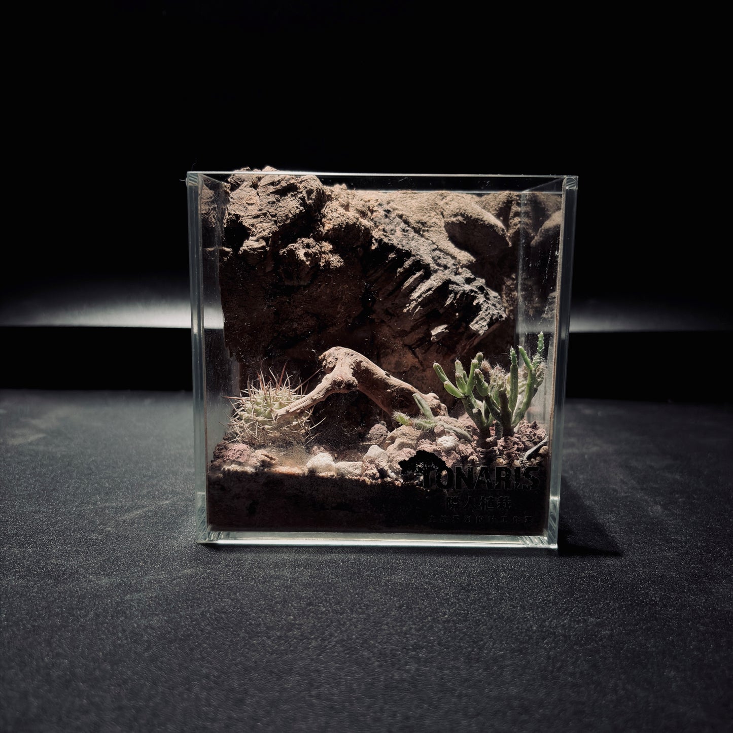 DESERT TERRARIUM TANK-SMALL 沙漠地形生態小缸（12× 8 × 12 cm）