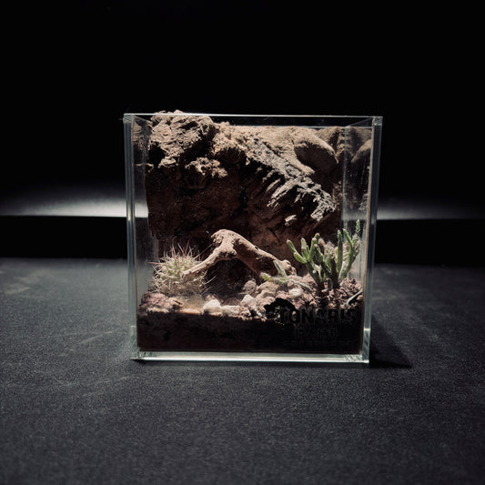 DESERT TERRARIUM TANK-SMALL 沙漠地形生態小缸（12× 8 × 12 cm）