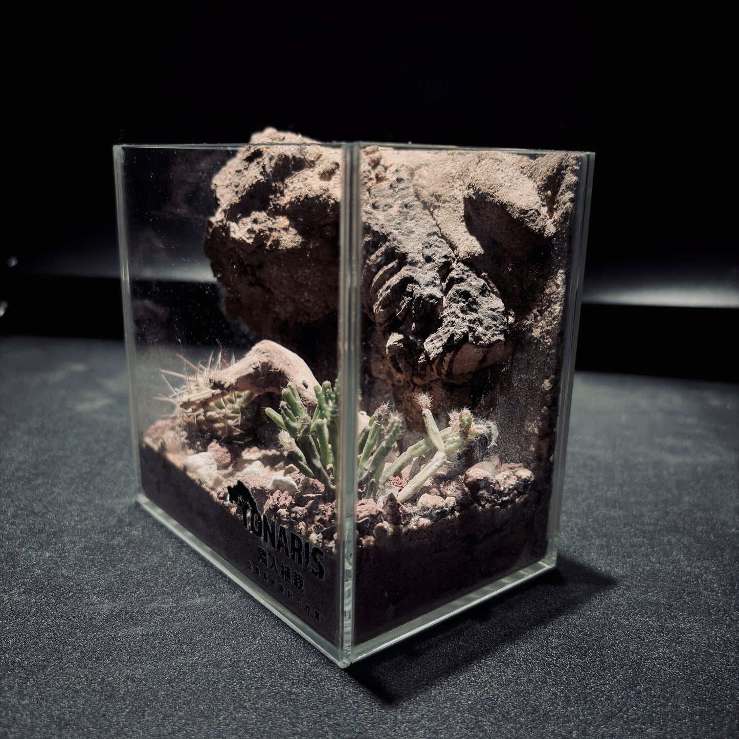 DESERT TERRARIUM TANK-SMALL 沙漠地形生態小缸（12× 8 × 12 cm）
