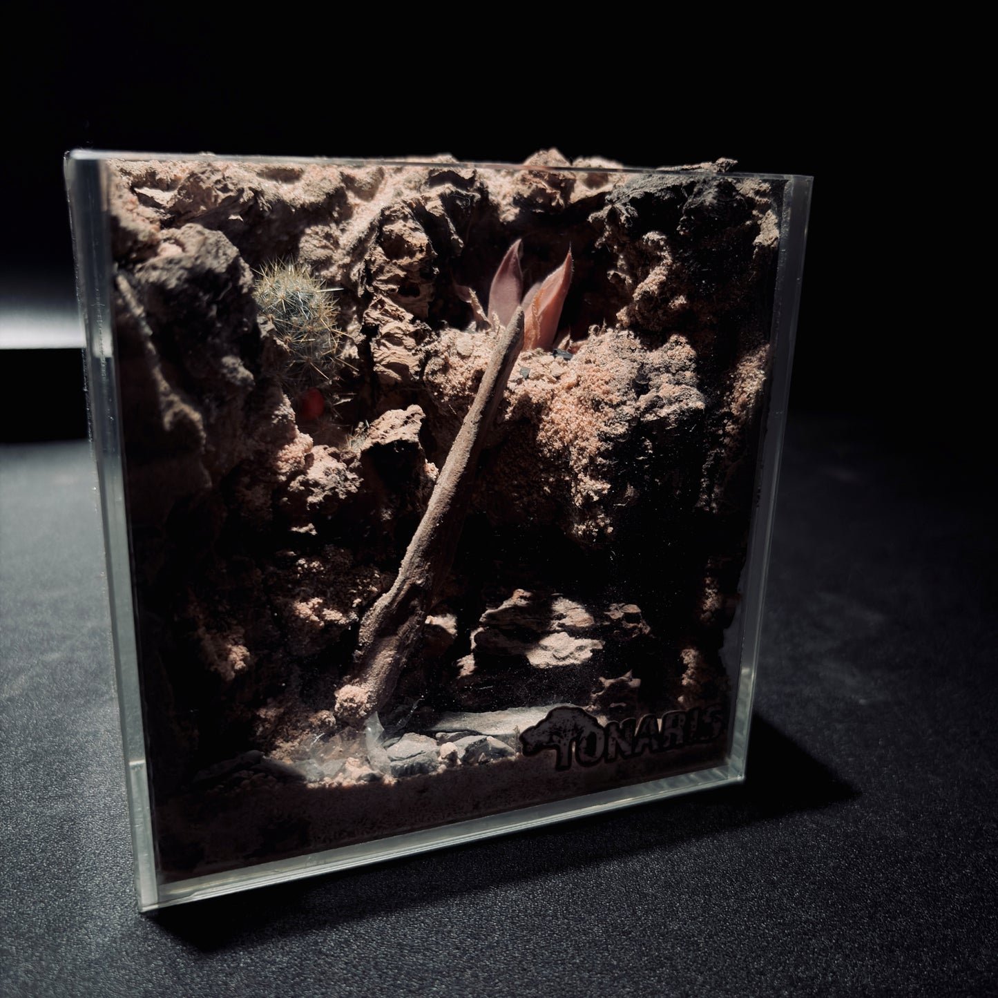 DESERT TERRARIUM TANK-SMALL 沙漠地形生態小缸（12× 8 × 12 cm）