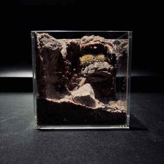 DESERT TERRARIUM TANK-SMALL 沙漠地形生態小缸（12× 8 × 12 cm）