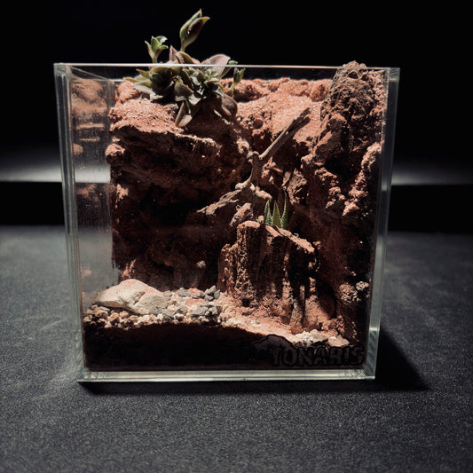 DESERT TERRARIUM TANK-SMALL 沙漠地形生態小缸（12× 8 × 12 cm）