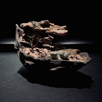 DESERT TERRARIUM BOWL-Medium 生態缽(中)-沙漠系列