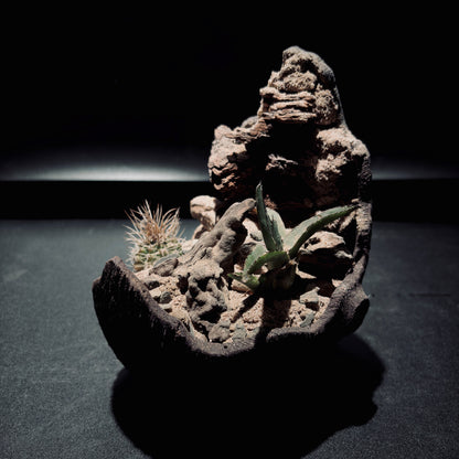 DESERT TERRARIUM BOWL-Medium 生態缽(小)-沙漠系列