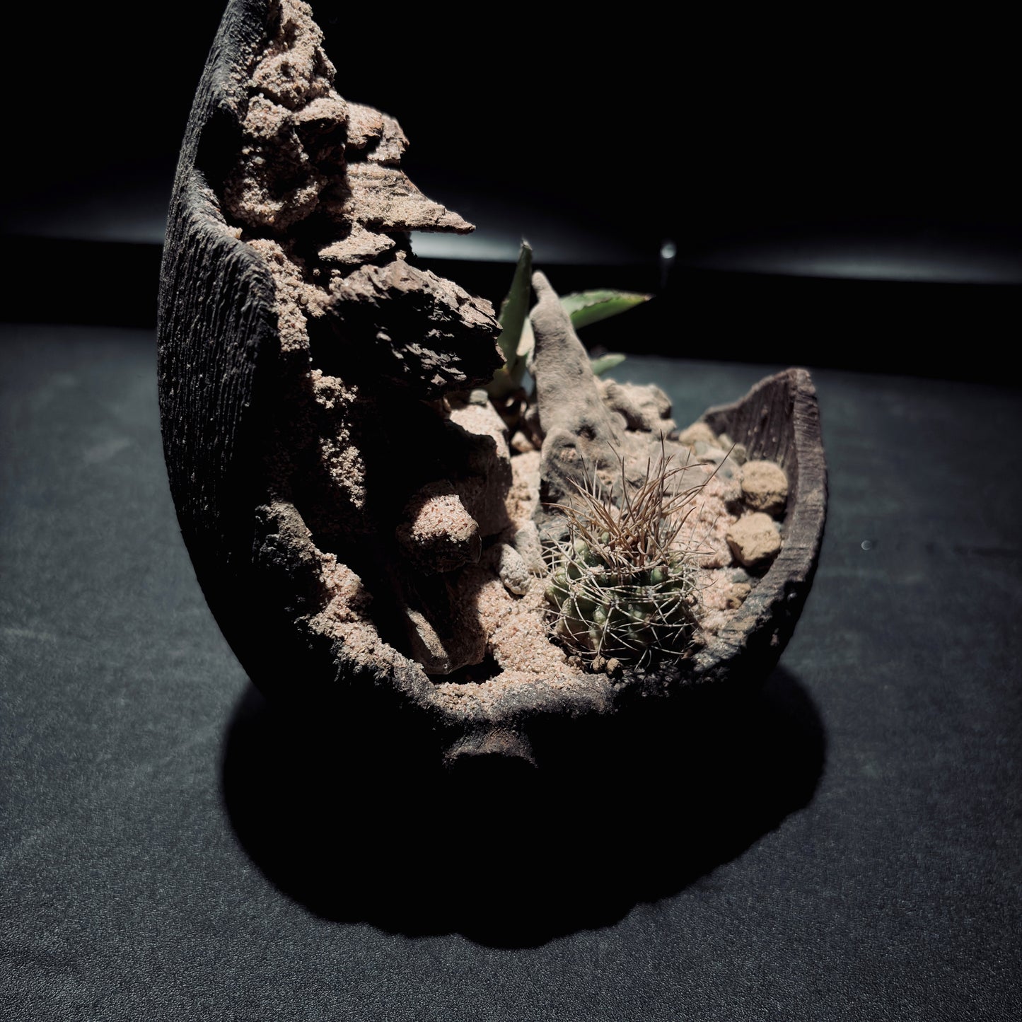 DESERT TERRARIUM BOWL-Medium 生態缽(小)-沙漠系列