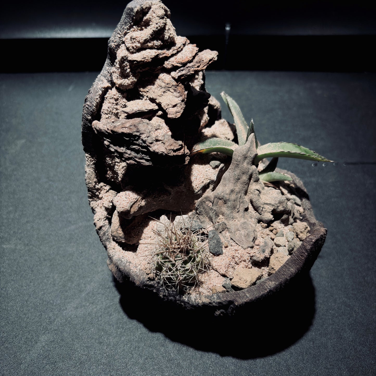 DESERT TERRARIUM BOWL-Medium 生態缽(小)-沙漠系列