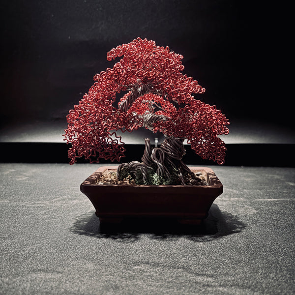 ALUMINUM SHARI CYPRESS Red  鋁．舍利真柏-紅